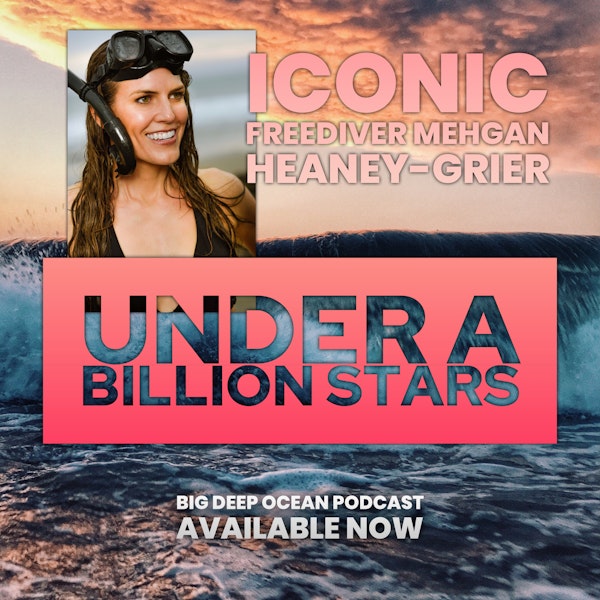 Under A Billion Stars - Legendary freediver Mehgan Heaney-Grier on creating records and breaking boundaries for American freediving