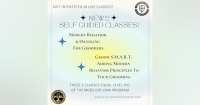image for I just released 2 New Self-Guided classes!