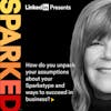 How to unpack Assumptions about your Sparketypes
