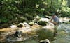Brook Trout Wisdom in Shenandoah National Park with Harry Murray