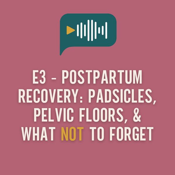 E3 - Postpartum Recovery - Padsicles, Pelvic Floors, & What NOT to Forget