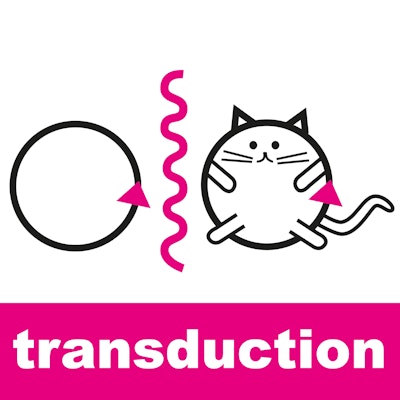 Transduction
