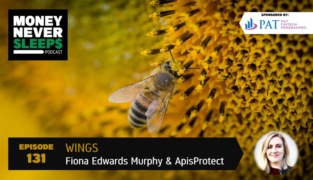 131: Wings | Fiona Edwards Murphy and ApisProtect