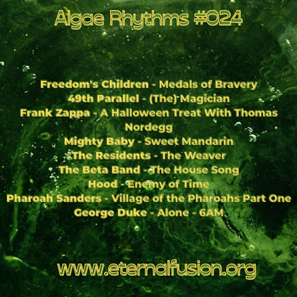 Algae Rhythms #024
