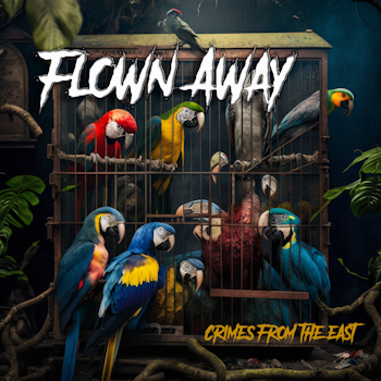 Flown Away - Part 1