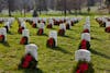 Episode 11 - Arctic Explorers of Arlington National Cemetery, Arlington, Virginia
