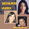 Blood Thinner than Water - The Sheena Bora Murder - Part 1