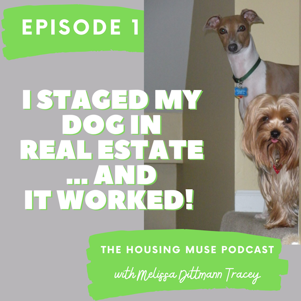 I Staged My Dog in Real Estate ... and It Worked!