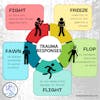 Understanding the 5 Trauma Responses: Fight, Flight, Freeze, Fawn, and Flop