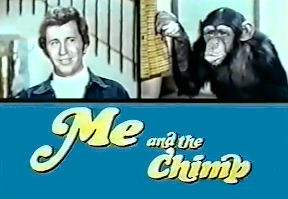 SCUMA: Me and the Chimp