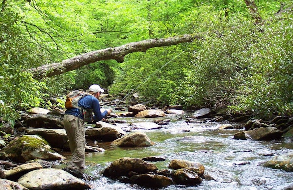 Backcountry Brook Trout in Smoky Mountain National Park with Rob Fightmaster