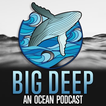 An Ocean of Stories: Welcome to the Big Deep Podcast!