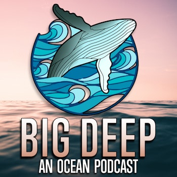 An Ocean of Stories: Welcome to the Big Deep Podcast!