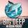 BIG DEEP - An Ocean Podcast Album Art