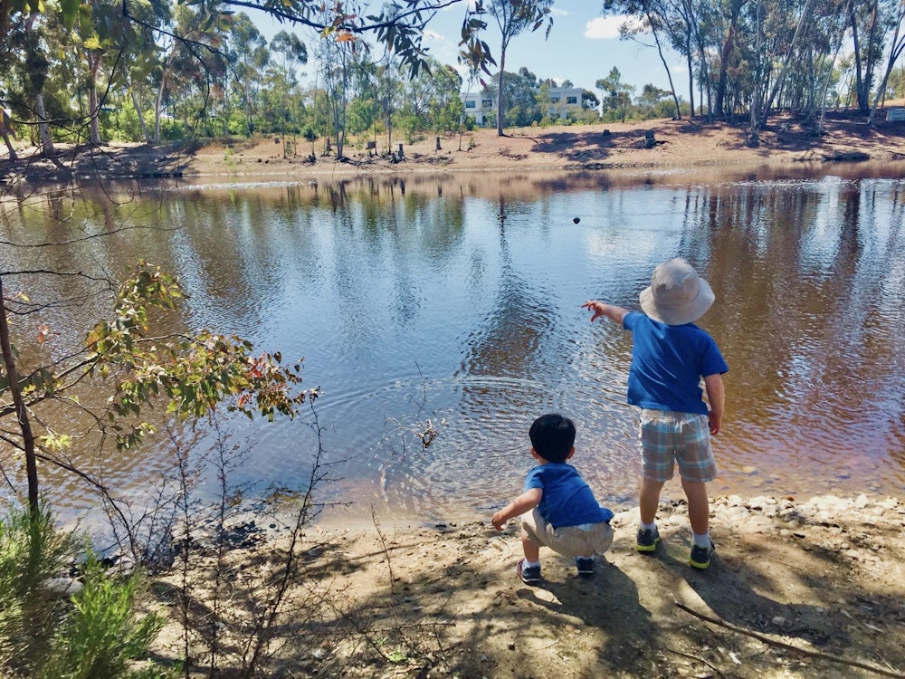 7 Lakes and Ponds to Visit in San Diego