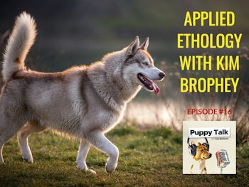 Applied Ethology with Kim Brophey