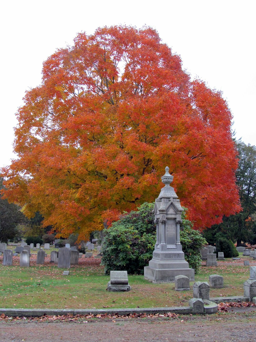 Episode 57 - Elm Grove Cemetery in Mystic, Connecticut