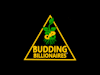 Budding 🌱 Billionaires™️ Conversations with Erin Porche` Logo