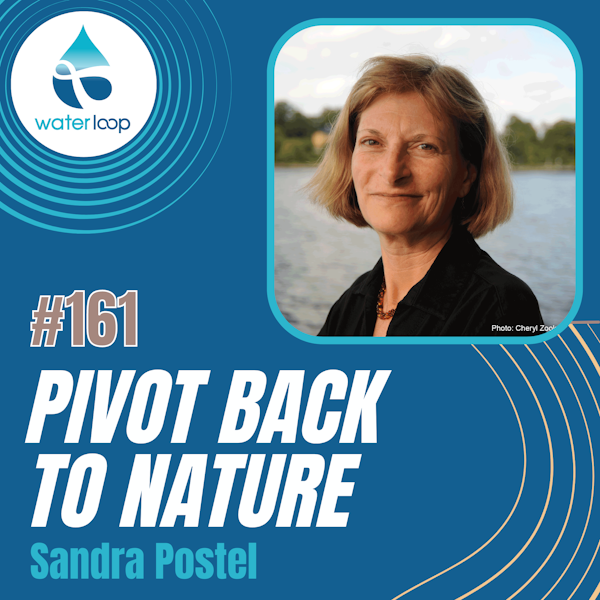 #161: Pivot Back To Nature