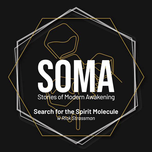 Search for the Spirit Molecule - A Clinical Study of DMT Experiences w/ Rick Strassman