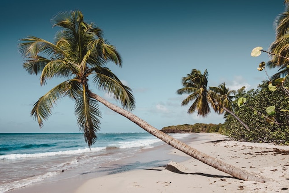 Five Unexpected Business Lessons From a Desert Island
