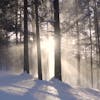 Embracing the Winter Solstice: Holistic Strategies for Wellness and Releasing The ADHD Label During Wintertime