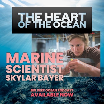 The Heart of the Ocean: Skylar Bayer on how discovering that she could no longer scuba dive started a remarkable journey to the bottom of the ocean