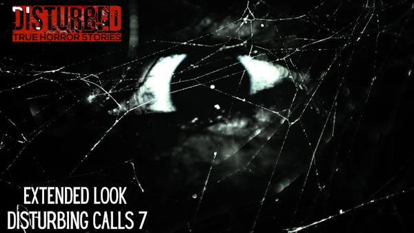 EXTENDED LOOK: Disturbing Calls 7