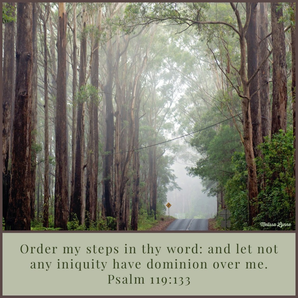 Order My Steps in Thy Word