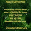 Algae Rhythms #023
