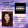 Episode 18 - Light, Energy, & Spirit Animals