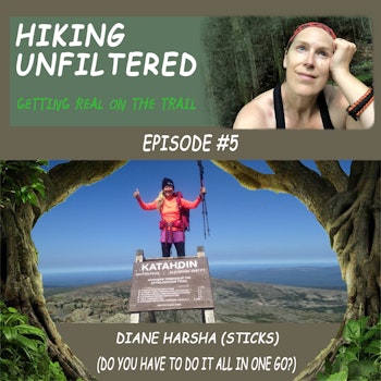 Episode #5 - Diane Harsha (Sticks) Do you have to do it all at once?