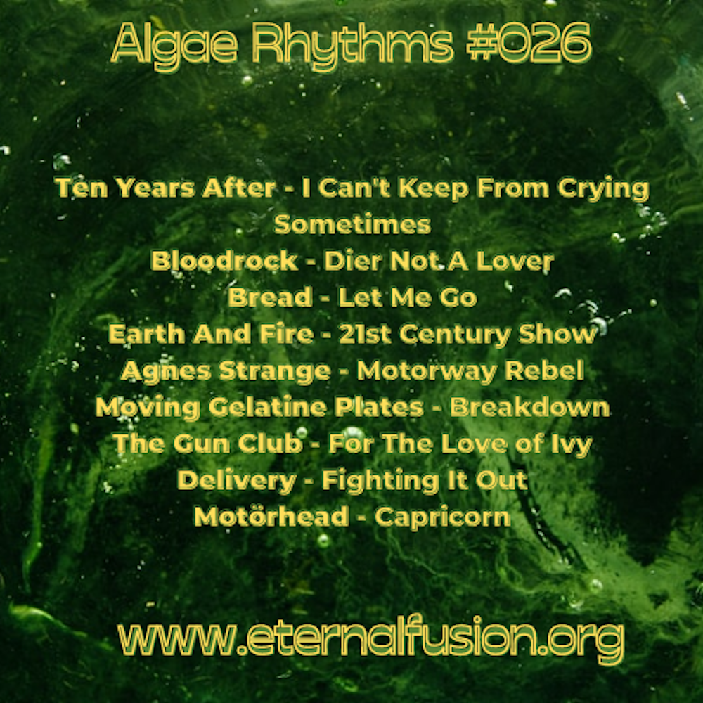 Algae Rhythms #026