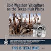 Cold Weather Viticulture with Daniel Pate of Apical Texas