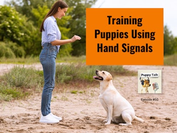 Training Puppies Using Hand Signals