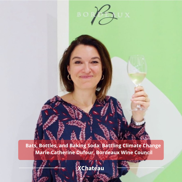 Bats, Bottles, and Baking Soda: Battling Climate Change w/ Marie-Catherine Dufour, Bordeaux Wine Council