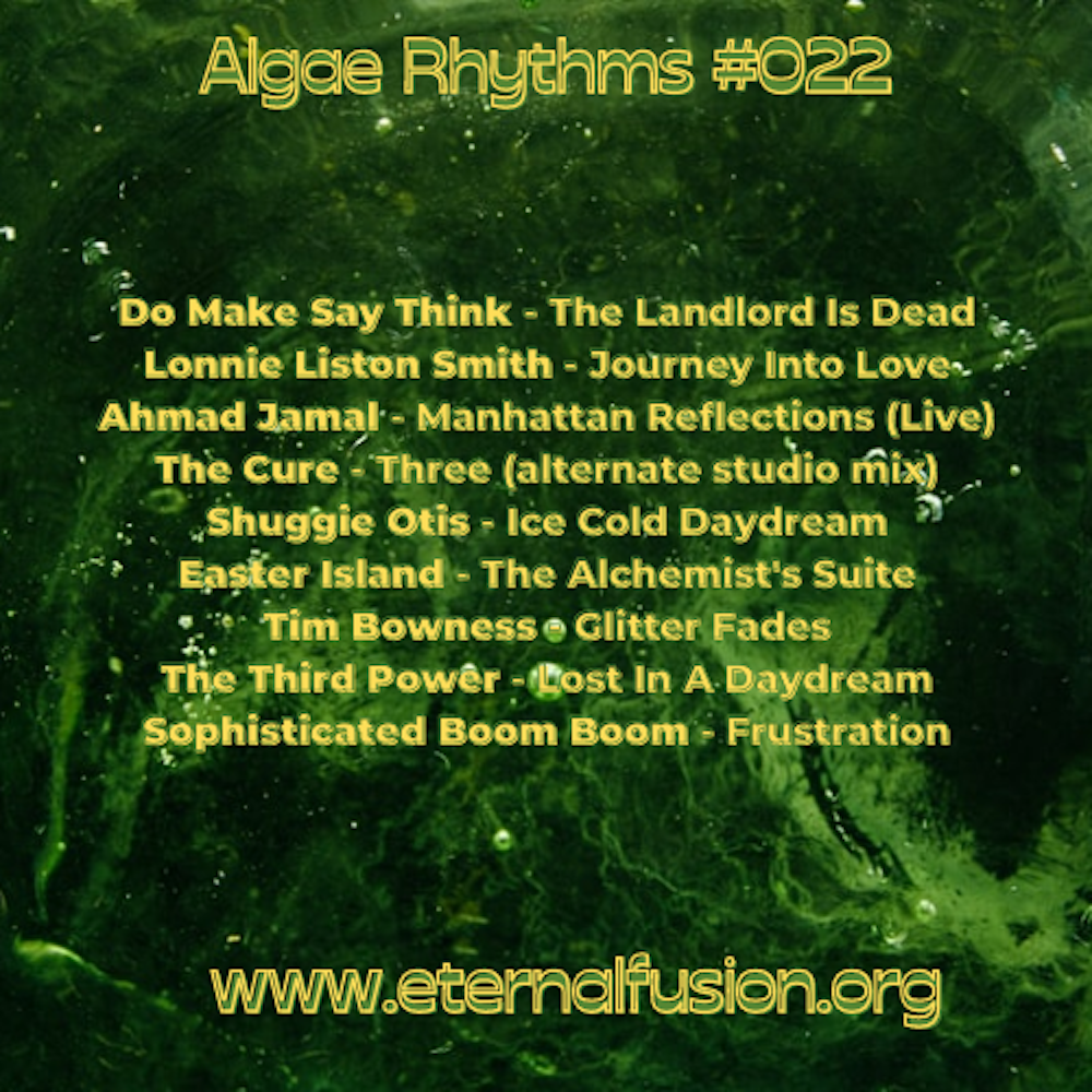 Algae Rhythms #022
