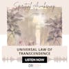 Universal Law of Transcendence {41 of 52 Series}