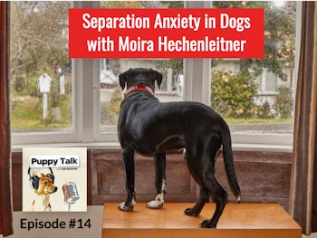 Separation Anxiety with Moira Hechenleitner