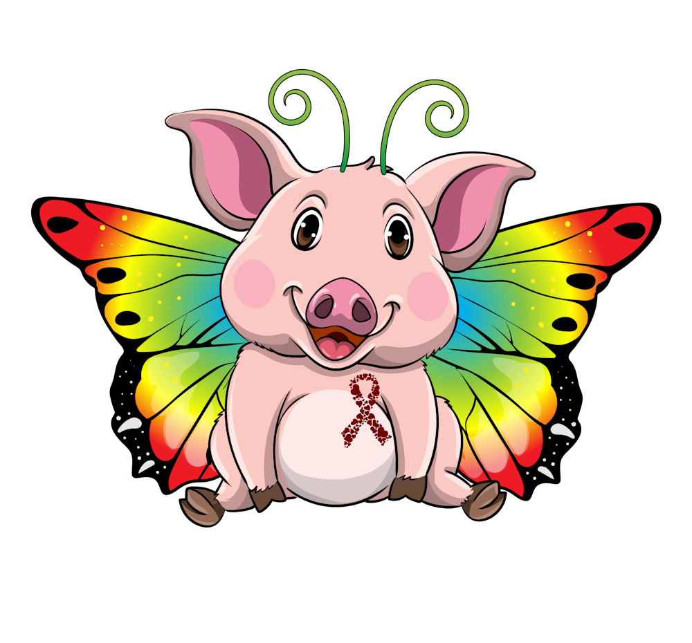 What is a Brain AVM & Who is this Butterfly Pig?