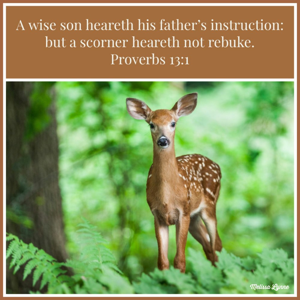 A Wise Son Heareth His Father’s Instruction