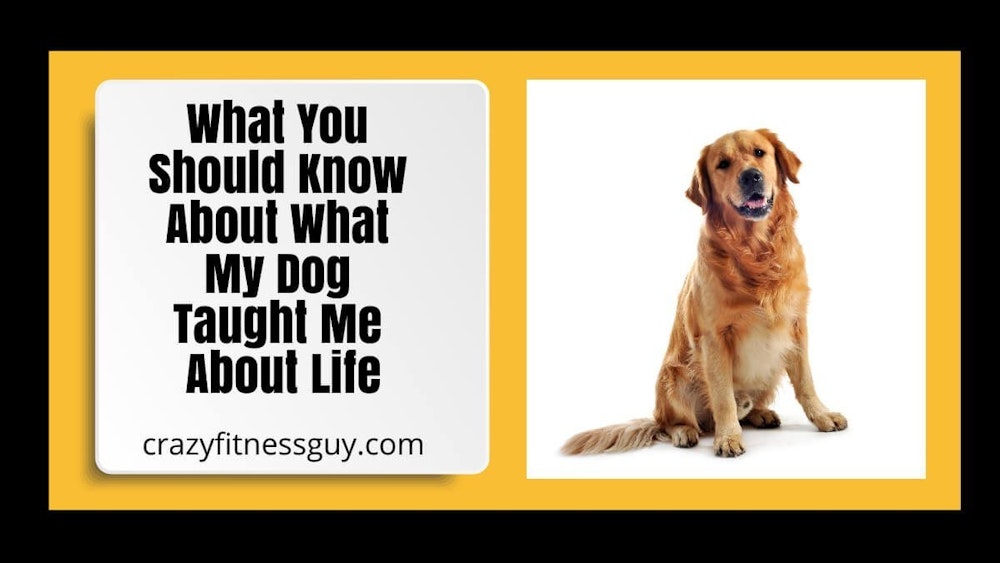 What You Should Know About What My Dog Taught Me About Life