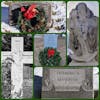 Symbolism of Holly, Ivy, and Evergreen in Christmas Celebrations & Cemeteries