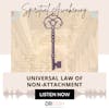 UNIVERSAL LAW OF NON-ATTACHMENT {19 OF 52 SERIES} | RAM DASS