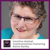 Intuitive Animal Communication Featuring Elaine Garley