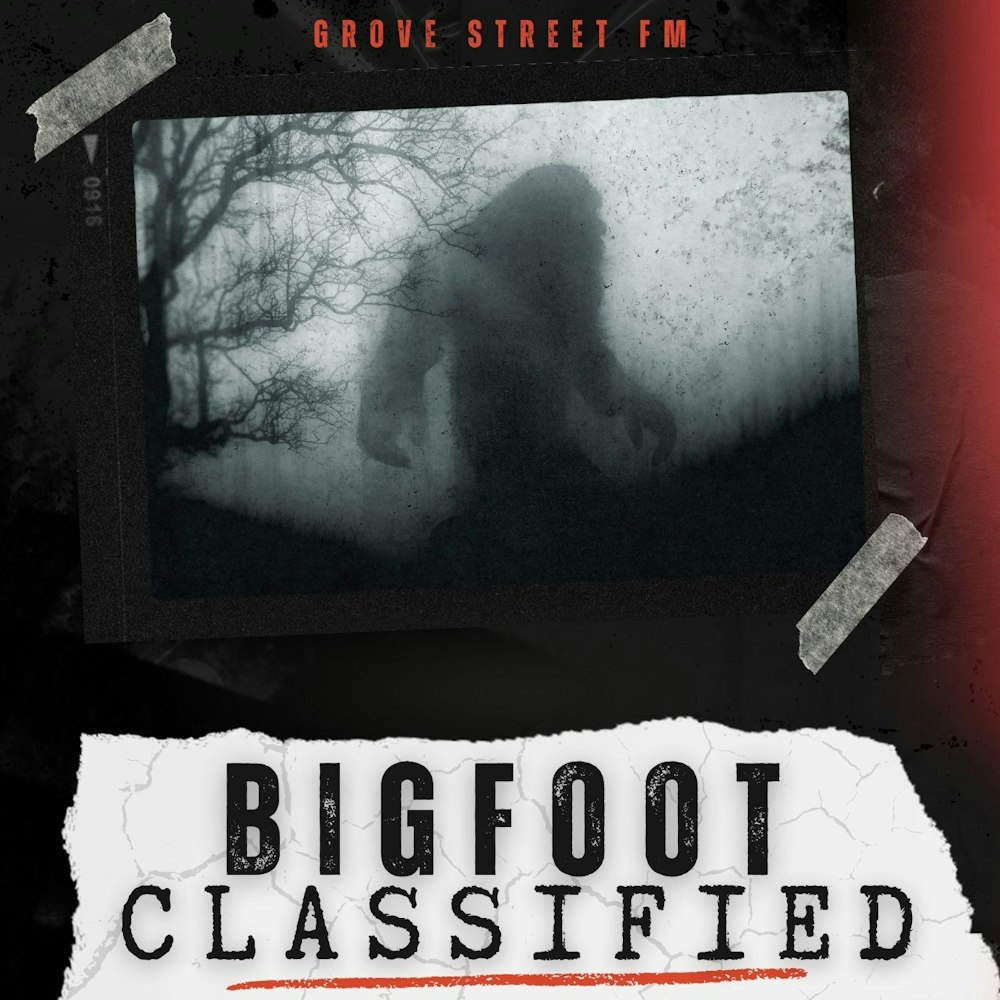 Exploring Season 3 of Bigfoot Classified: 