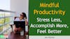 170. Mindful Productivity – Stress Less, Accomplish More, Feel Better with Jeni Raitsin