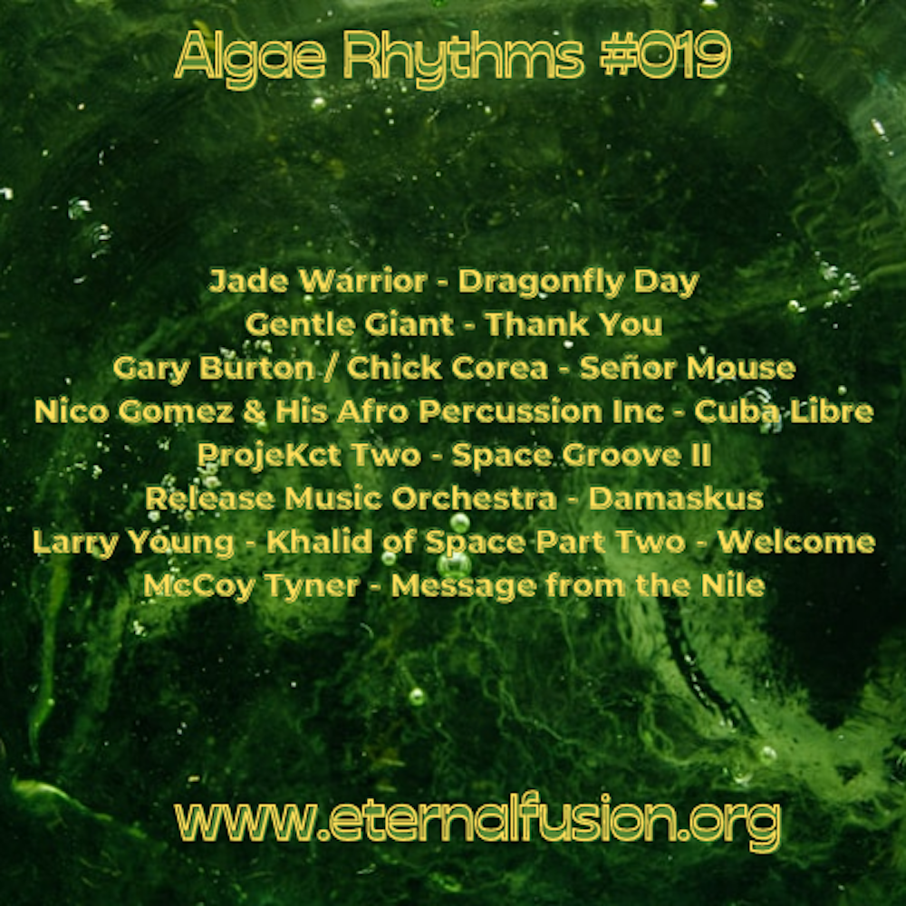 Algae Rhythms #019