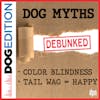 Dog Myths Debunked | Dog Edition #61