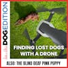 Finding Lost Dogs With A Drone | The Blind Deaf Pink Puppy | Dog Edition #37